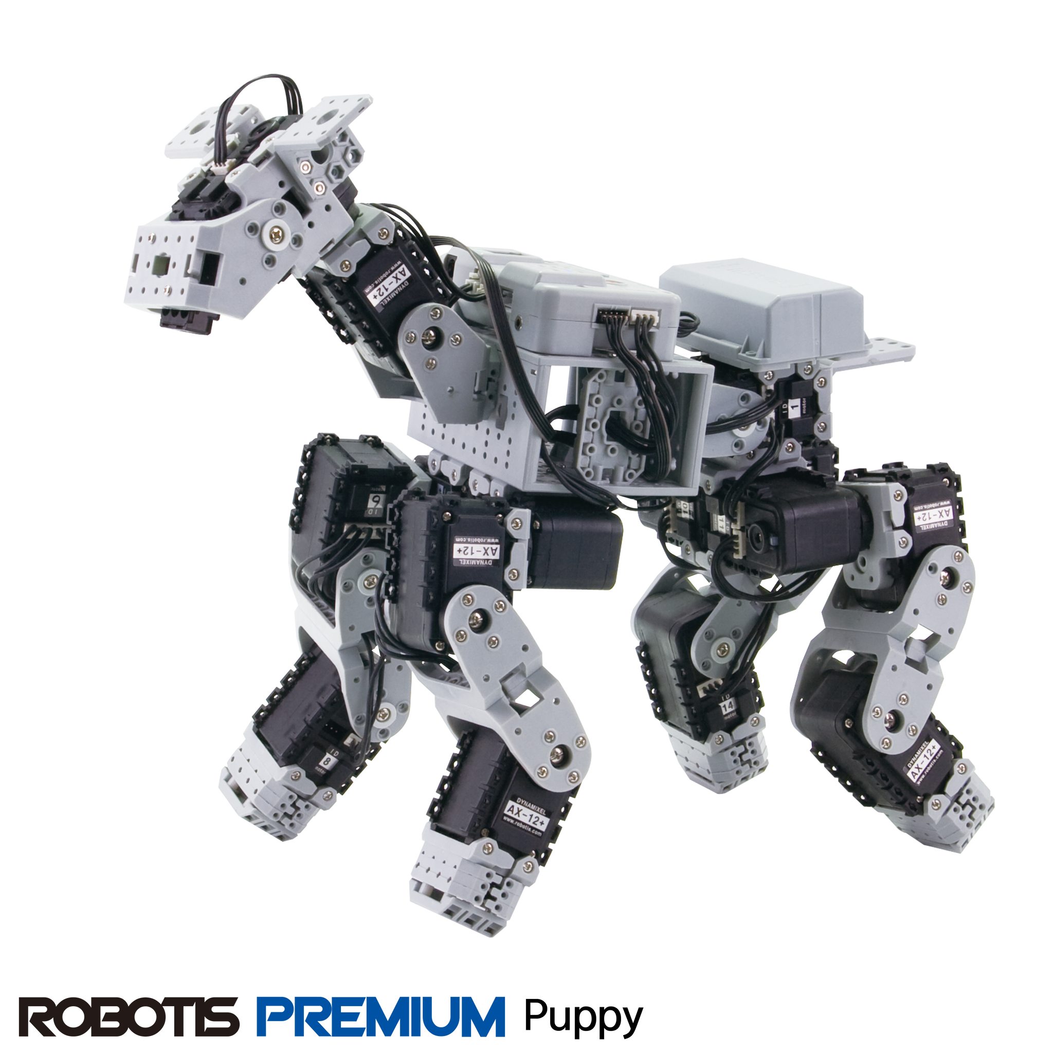 ROBOTISPREMIUMPuppy_2048x.png?